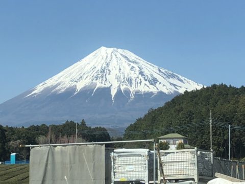 富士山